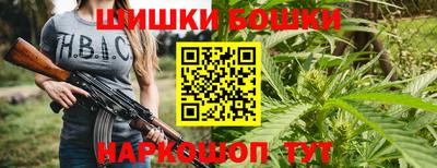 индика Моздок