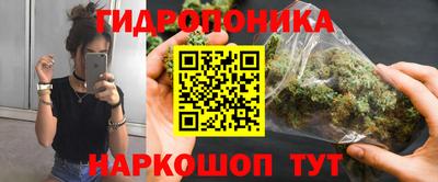индика Моздок