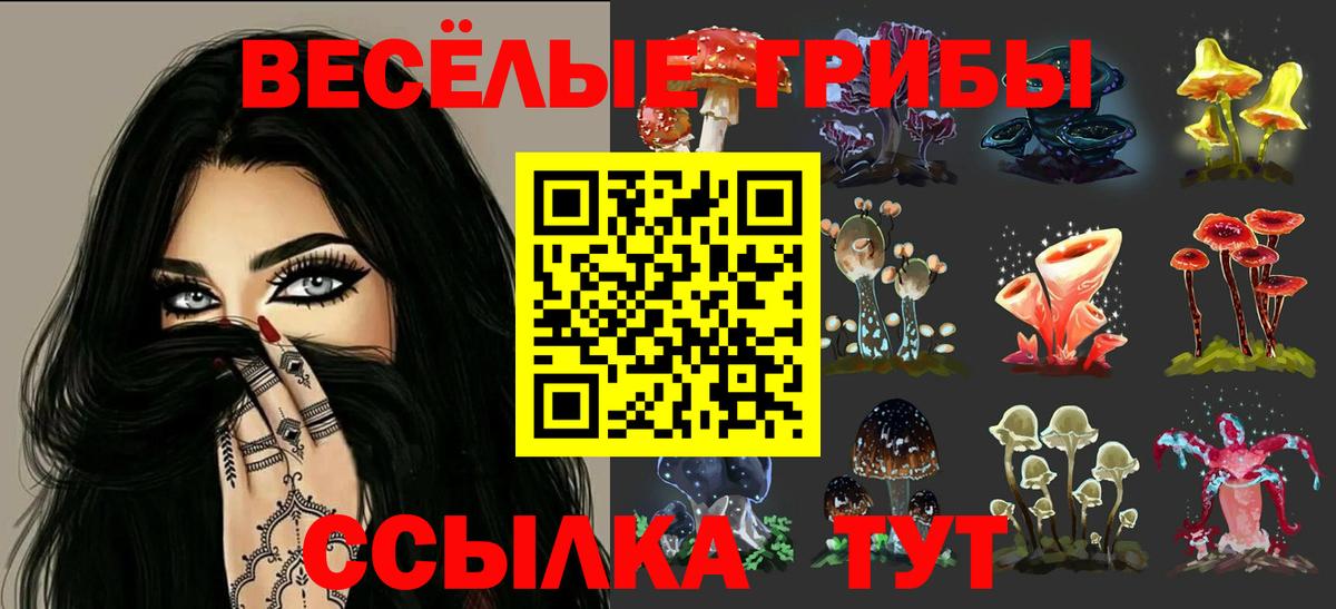 Псилоцибиновые грибы Psilocybine cubensis Улан-Удэ